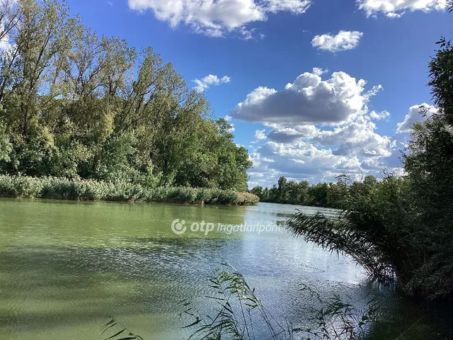 Eladó üdülő és hétvégi ház Mezőtúr 30 nm