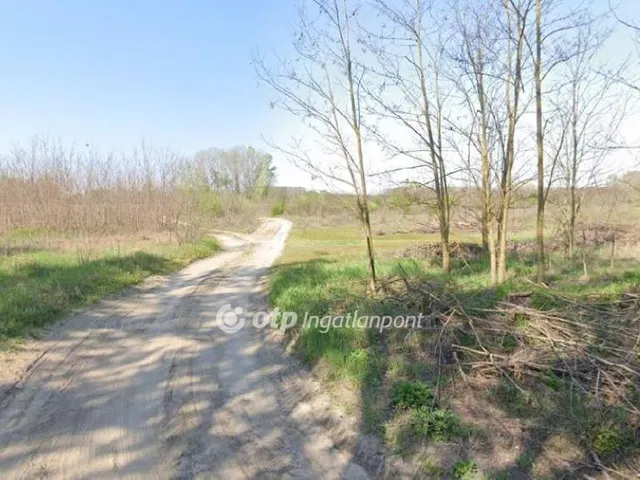 Eladó mezőgazdasági ingatlan Izsák 1 nm