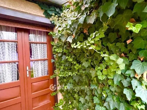 Eladó ház Orosháza 92 nm