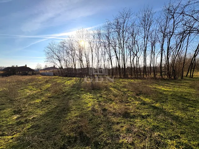 Eladó telek Újfehértó 1547 nm