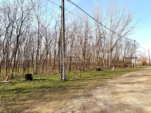 Eladó telek Újfehértó 646 nm