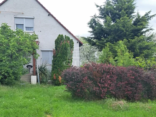 Eladó ház Pétfürdő 170 nm