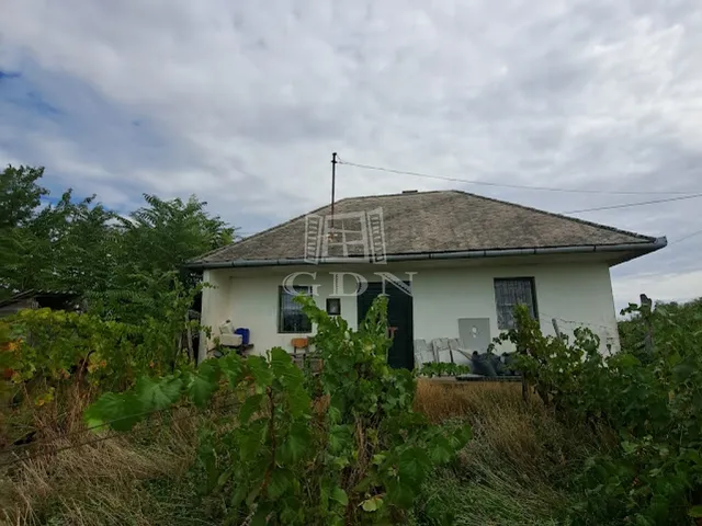 Eladó telek Tamási 1480 nm