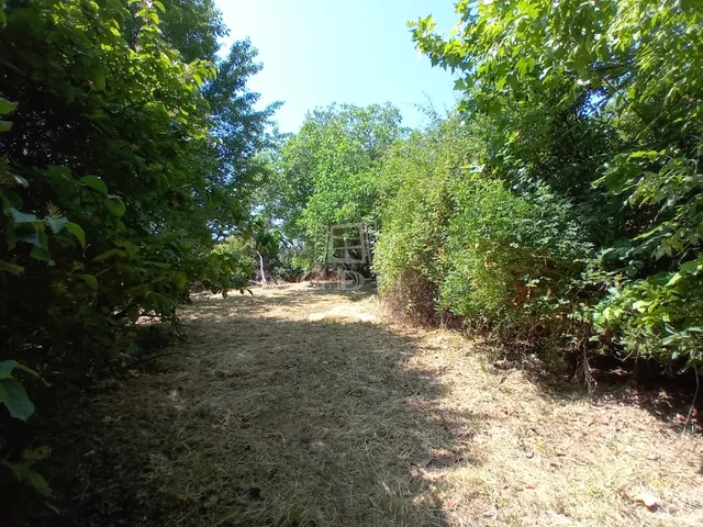 Eladó telek Paloznak 805 nm