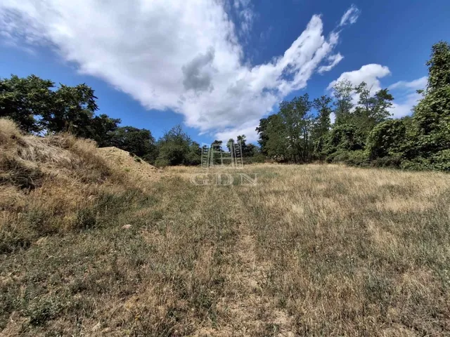 Eladó mezőgazdasági ingatlan Ábrahámhegy 1946 nm