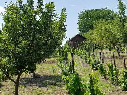 Eladó üdülő és hétvégi ház Kulcs 10 nm