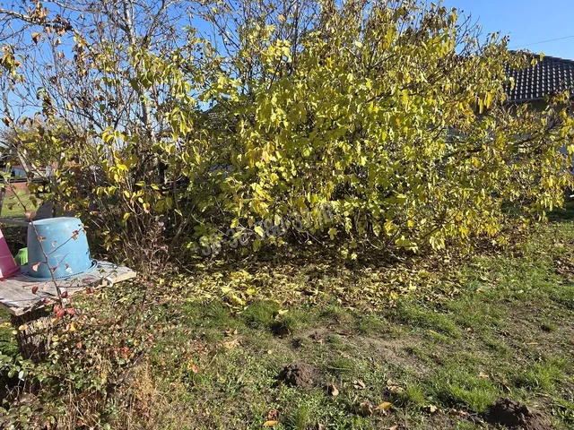 Eladó ház Baracs 60 nm