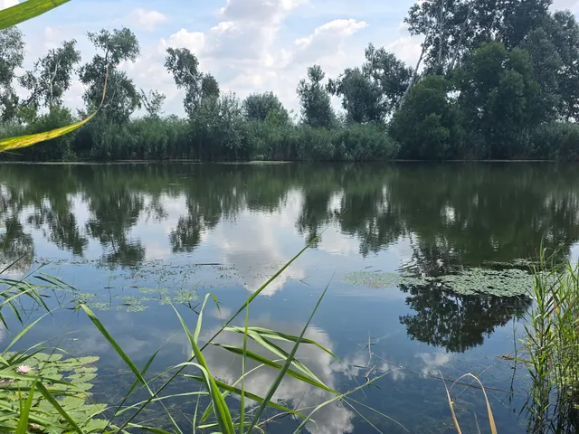 Eladó nyaraló Szalkszentmárton 40 nm