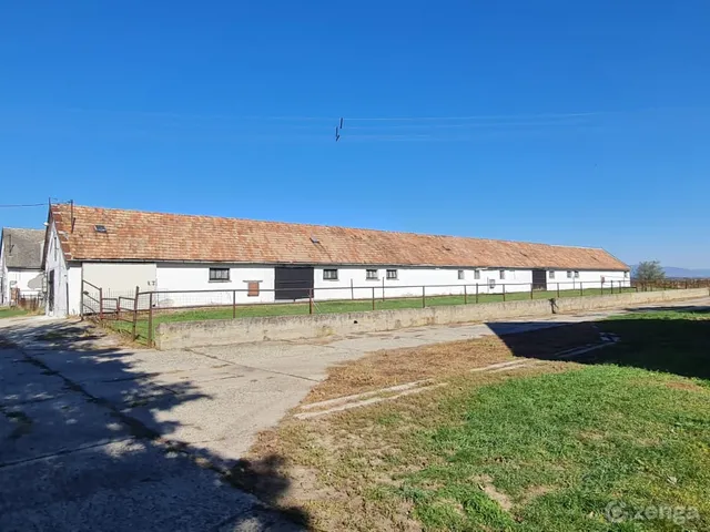Eladó mezőgazdasági ingatlan Csány, külterület 10199 nm