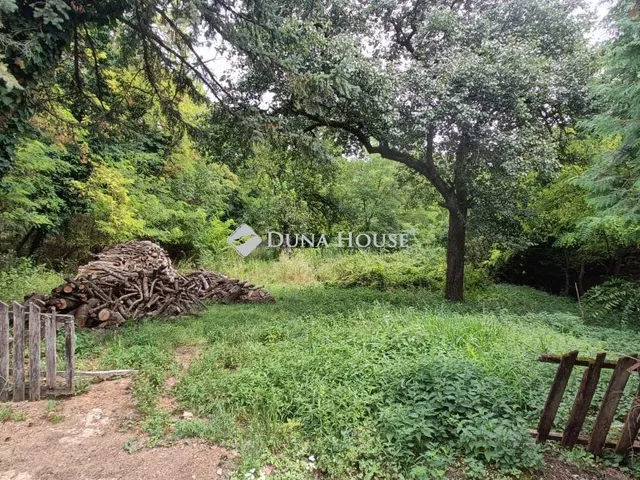 Eladó telek Kemendollár 1455 nm