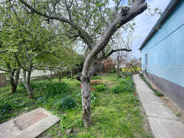 Eladó ház Barbacs 86 nm