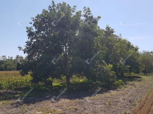 Eladó telek Levél 2222 nm