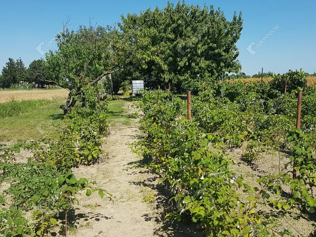 Eladó telek Levél 2222 nm