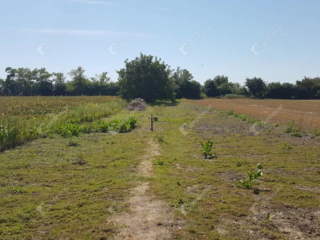 Eladó telek Levél 2222 nm