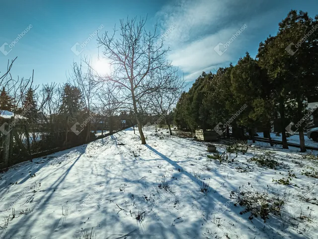 Eladó telek Hegyeshalom 1343 nm
