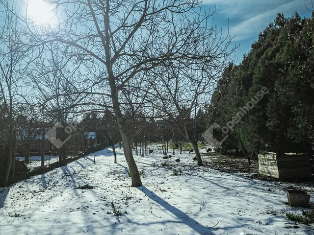 Eladó telek Hegyeshalom 1343 nm