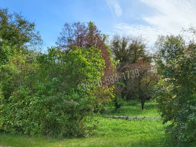 Eladó telek Zalaegerszeg, Csács 912 nm