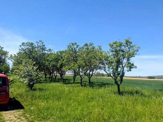 Eladó telek Keszthely 2314 nm