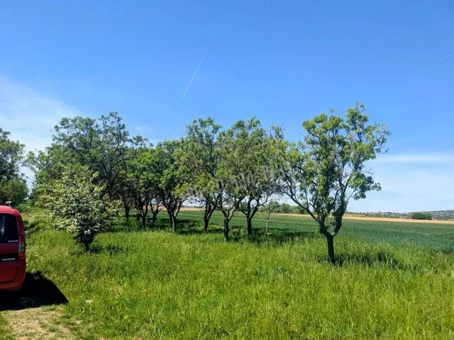 Eladó telek Keszthely 2314 nm