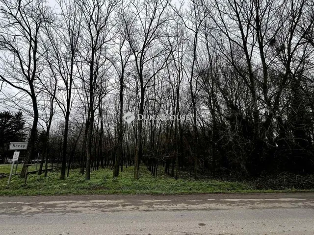 Eladó telek Nóráp, Nincs utca 1496 nm