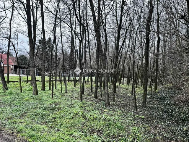 Eladó telek Nóráp, Nincs utca 1496 nm