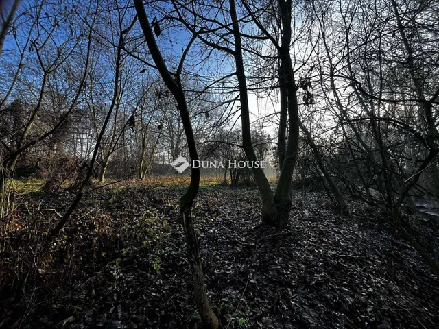 Eladó telek Pápateszér, Külterület 6942 nm