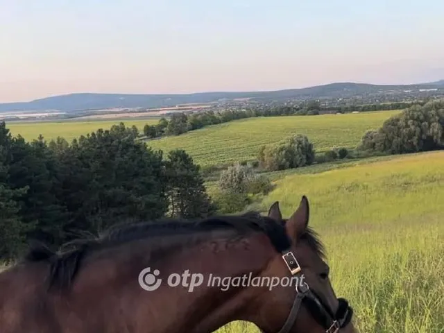 Eladó telek Etyek 67816 nm