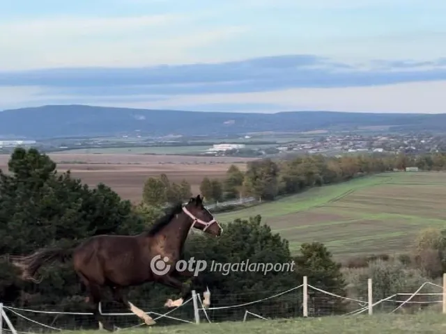 Eladó telek Etyek 41865 nm
