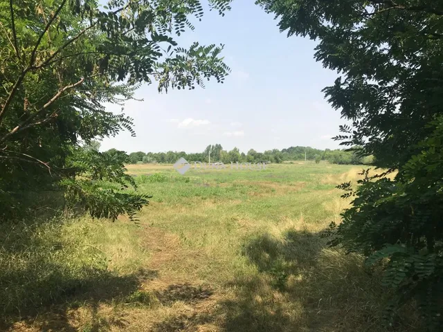 Eladó telek Mezőtúr 6200 nm
