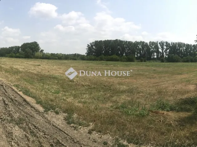 Eladó telek Mezőtúr 6200 nm