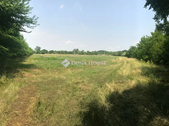 Eladó telek Mezőtúr 6200 nm
