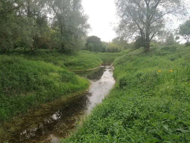 Eladó mezőgazdasági ingatlan Vácduka 160 nm