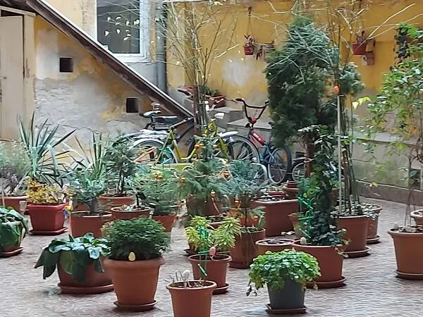Eladó lakás Budapest VII. kerület 29 nm