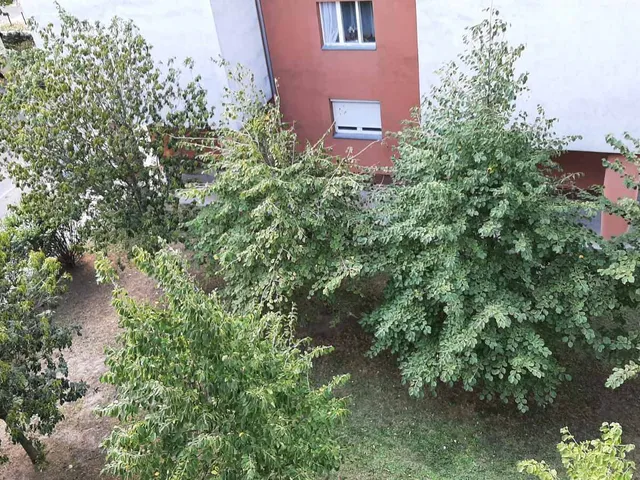 Eladó lakás Budapest XIII. kerület 36 nm