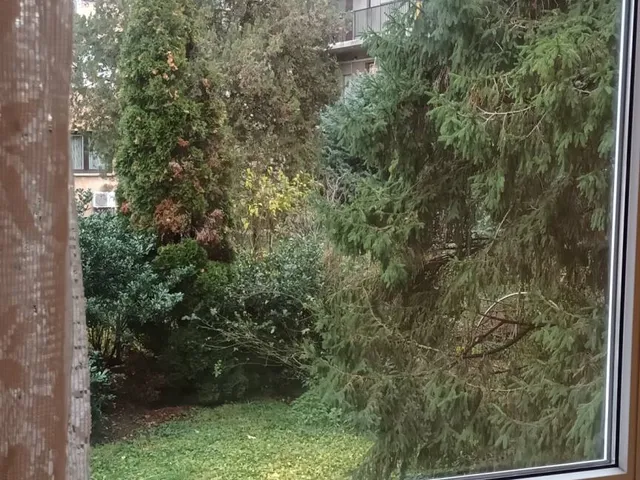 Kiadó lakás Budapest XIII. kerület 48 nm