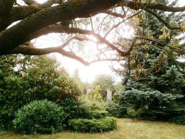 Eladó ház Budapest XVI. kerület 240 nm