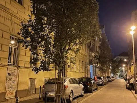 Eladó lakás Budapest VIII. kerület 95 nm