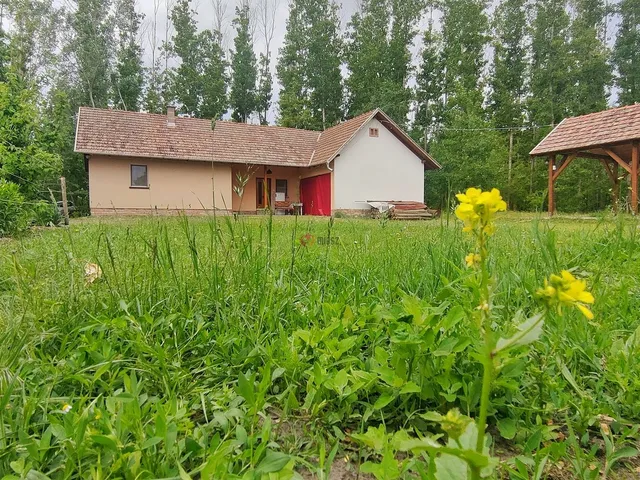 Eladó mezőgazdasági ingatlan Szatymaz 107 nm