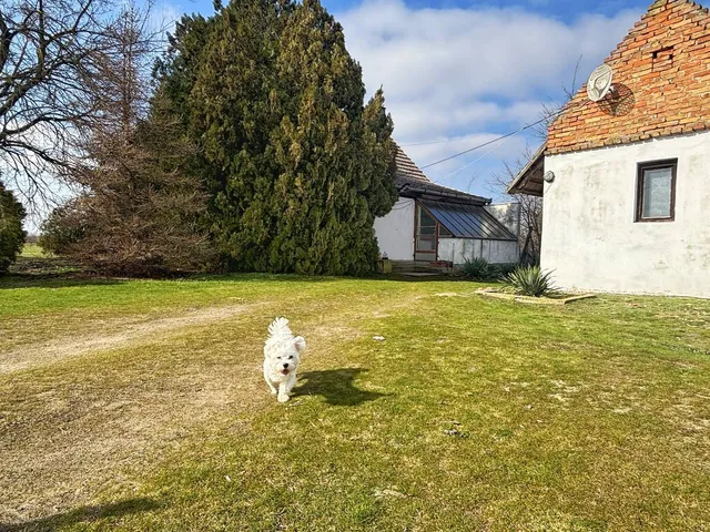 Eladó mezőgazdasági ingatlan Szatymaz 87 nm