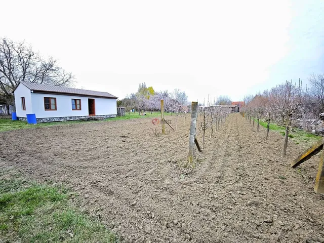 Eladó mezőgazdasági ingatlan Szeged, Szőreg 38 nm