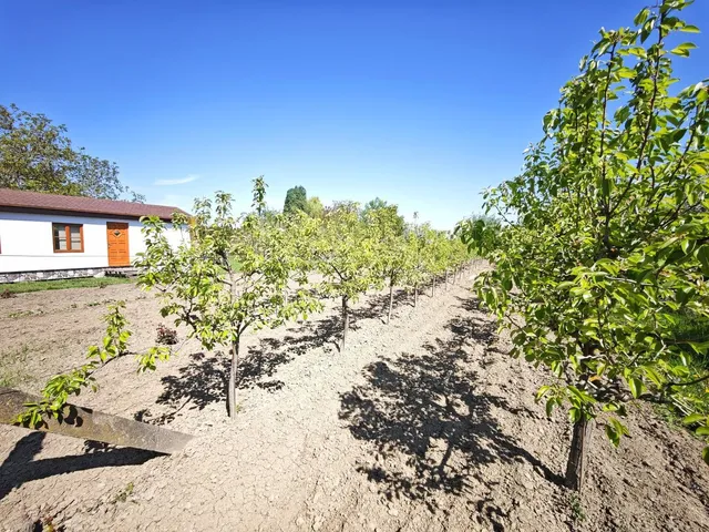 Eladó mezőgazdasági ingatlan Szeged, Szőreg 38 nm