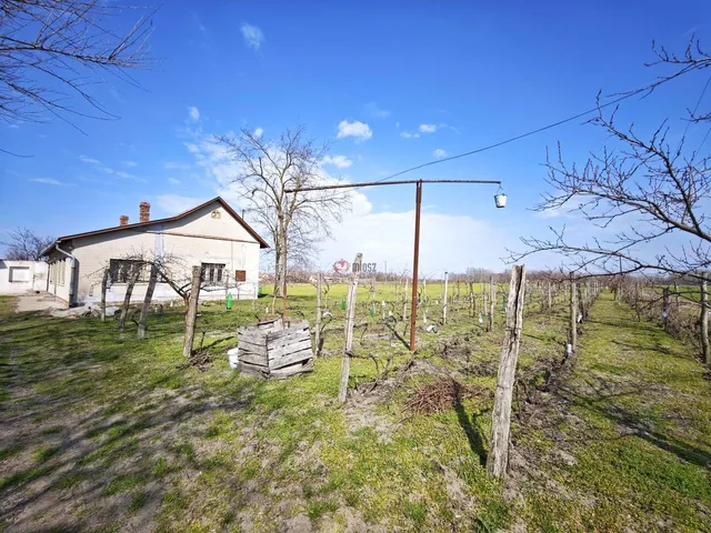 Eladó mezőgazdasági ingatlan Forráskút, Gyapjas dűlő 85 nm