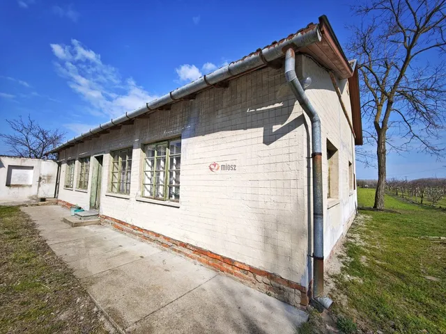 Eladó mezőgazdasági ingatlan Forráskút, Gyapjas dűlő 85 nm