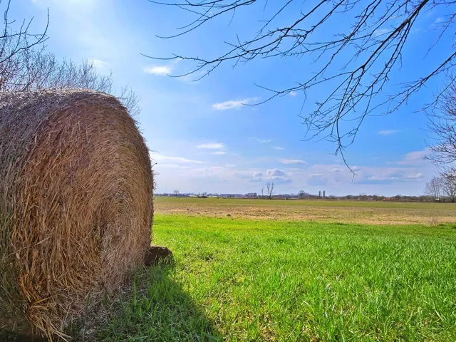 Eladó mezőgazdasági ingatlan Forráskút 85 nm