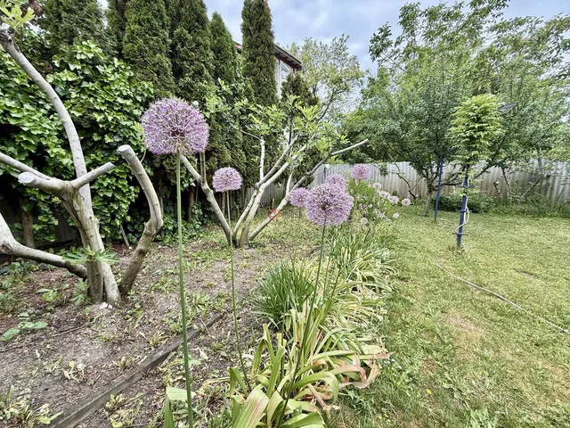 Eladó telek Szeged, Felsőváros