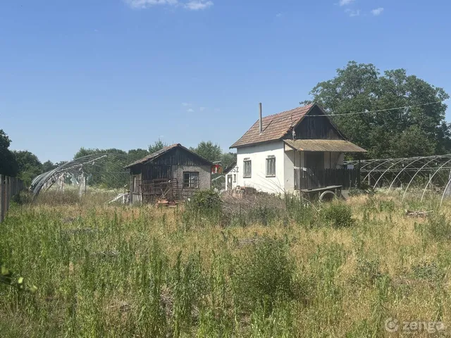 Eladó mezőgazdasági ingatlan Sándorfalva 4379 nm