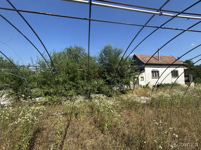 Eladó mezőgazdasági ingatlan Sándorfalva, Harcsa 4379 nm