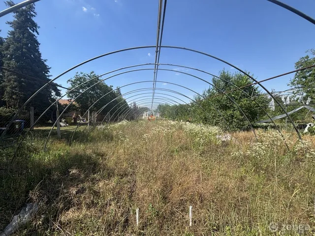 Eladó mezőgazdasági ingatlan Sándorfalva, Harcsa 4379 nm