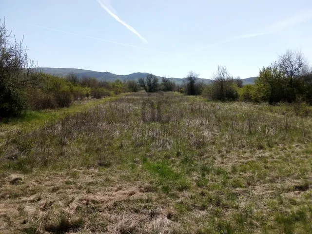 Eladó mezőgazdasági ingatlan Budakeszi, Cserszegi utca 3170 nm