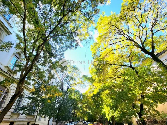 Kiadó lakás Budapest VI. kerület 35 nm